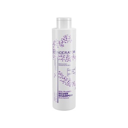 [BS-SILVER] Blonderator Silver Shampoo 200ml IP